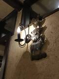 「【京都フレンチめぐり】出町柳のビストロ好き必訪の名店！家庭的な和む雰囲気と絶品料理☆「スリージェ」」の画像4