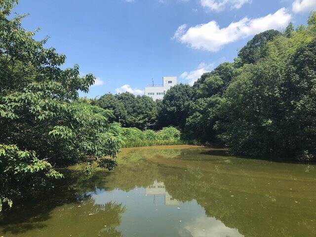 【京都ぶらり】住宅街に濠跡も残る京都府南部最大級の前方後円墳「二子塚古墳」