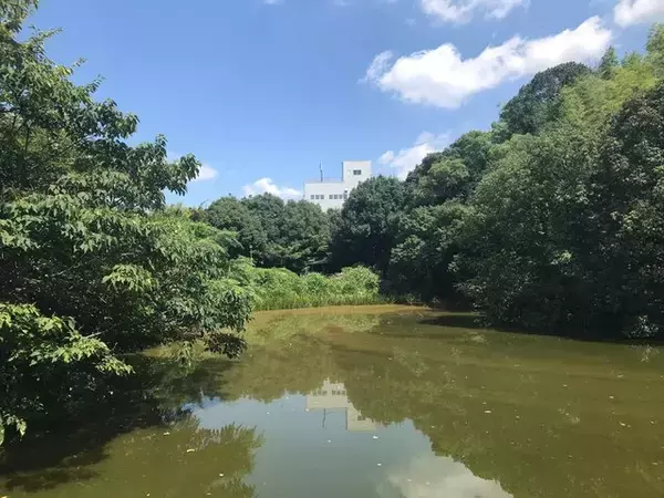 「【京都ぶらり】住宅街に濠跡も残る京都府南部最大級の前方後円墳「二子塚古墳」」の画像