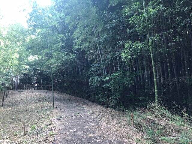 【京都ぶらり】住宅街に濠跡も残る京都府南部最大級の前方後円墳「二子塚古墳」