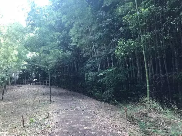 「【京都ぶらり】住宅街に濠跡も残る京都府南部最大級の前方後円墳「二子塚古墳」」の画像