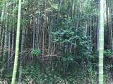 「【京都ぶらり】住宅街に濠跡も残る京都府南部最大級の前方後円墳「二子塚古墳」」の画像12