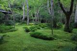 「【嵐山嵯峨野】美しい緑の庭園とアサギマダラに癒される「祇王寺」【京都庭園めぐり】」の画像11