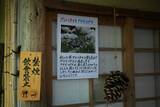 「【嵐山嵯峨野】美しい緑の庭園とアサギマダラに癒される「祇王寺」【京都庭園めぐり】」の画像4