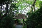 「【嵐山嵯峨野】美しい緑の庭園とアサギマダラに癒される「祇王寺」【京都庭園めぐり】」の画像8