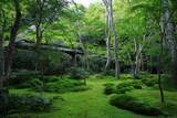「【嵐山嵯峨野】美しい緑の庭園とアサギマダラに癒される「祇王寺」【京都庭園めぐり】」の画像9