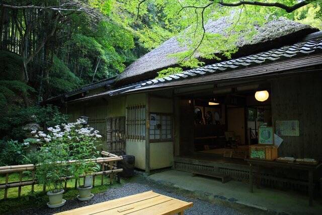 【嵐山嵯峨野】美しい緑の庭園とアサギマダラに癒される「祇王寺」【京都庭園めぐり】