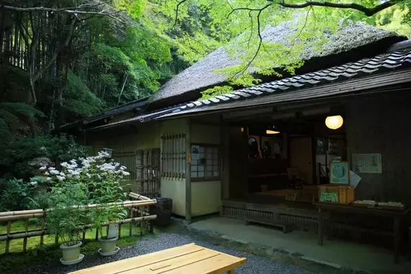 「【嵐山嵯峨野】美しい緑の庭園とアサギマダラに癒される「祇王寺」【京都庭園めぐり】」の画像