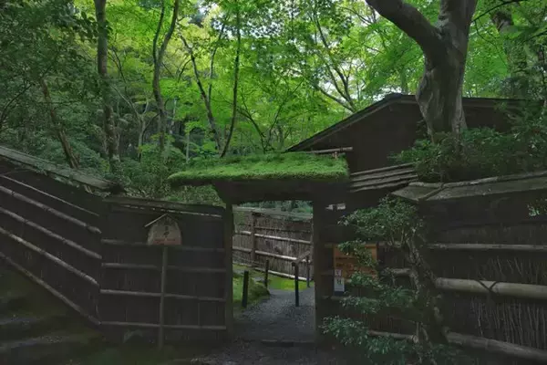 【嵐山嵯峨野】美しい緑の庭園とアサギマダラに癒される「祇王寺」【京都庭園めぐり】