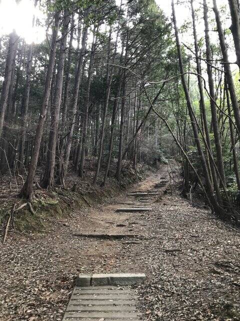 【京都お墓】NHK大河ドラマにもなった新島襄・八重夫妻眠る山中「同志社墓地」