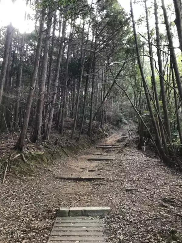 「【京都お墓】NHK大河ドラマにもなった新島襄・八重夫妻眠る山中「同志社墓地」」の画像
