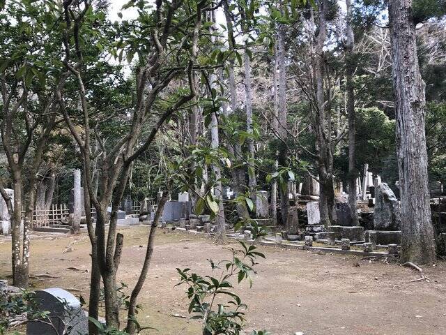 【京都お墓】NHK大河ドラマにもなった新島襄・八重夫妻眠る山中「同志社墓地」