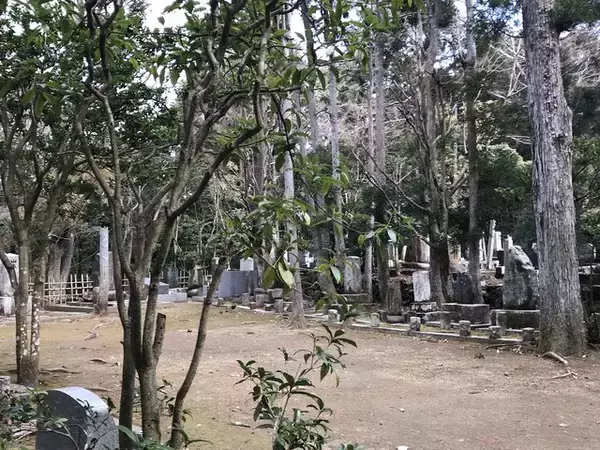 「【京都お墓】NHK大河ドラマにもなった新島襄・八重夫妻眠る山中「同志社墓地」」の画像