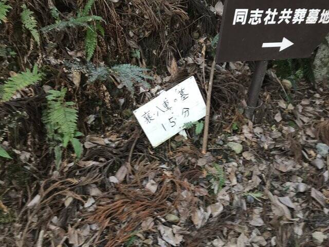 【京都お墓】NHK大河ドラマにもなった新島襄・八重夫妻眠る山中「同志社墓地」