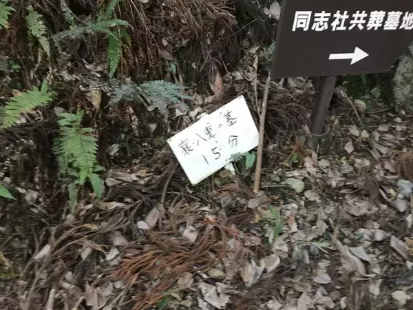 「【京都お墓】NHK大河ドラマにもなった新島襄・八重夫妻眠る山中「同志社墓地」」の画像