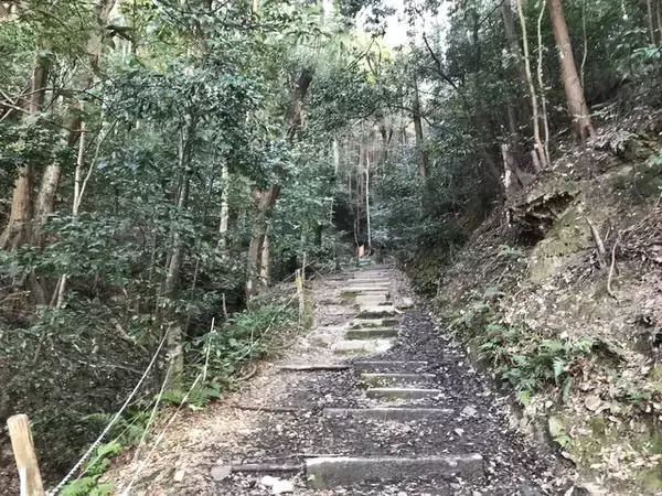 「【京都お墓】NHK大河ドラマにもなった新島襄・八重夫妻眠る山中「同志社墓地」」の画像