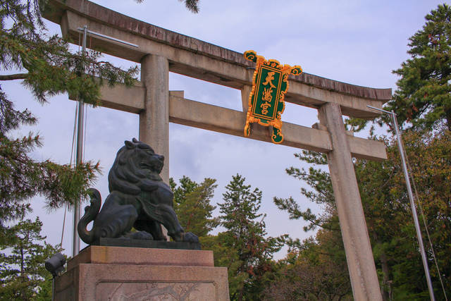 京都花めぐり 日本唯一の新品種 梅の名所に咲く桜 北野桜 北野天満宮 年4月19日 エキサイトニュース