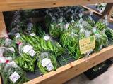 「【京都市場】サウナ付日帰り温泉併設☆長雨に備え地産地消の旬野菜「じねんと市場」」の画像16