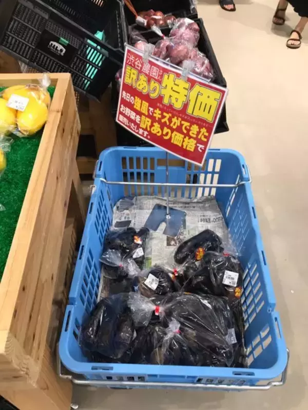 「【京都市場】サウナ付日帰り温泉併設☆長雨に備え地産地消の旬野菜「じねんと市場」」の画像