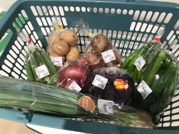 「【京都市場】サウナ付日帰り温泉併設☆長雨に備え地産地消の旬野菜「じねんと市場」」の画像