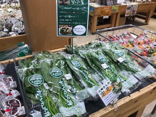 【京都市場】サウナ付日帰り温泉併設☆長雨に備え地産地消の旬野菜「じねんと市場」