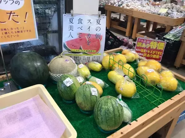「【京都市場】サウナ付日帰り温泉併設☆長雨に備え地産地消の旬野菜「じねんと市場」」の画像
