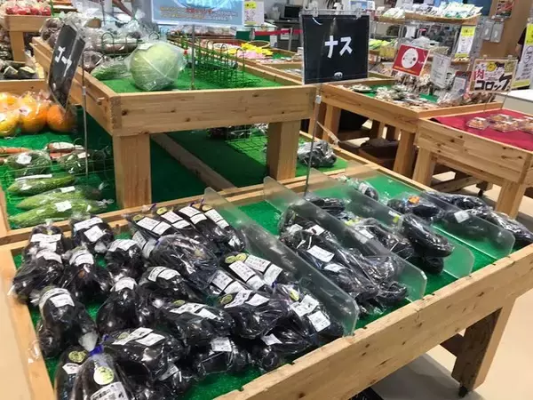 「【京都市場】サウナ付日帰り温泉併設☆長雨に備え地産地消の旬野菜「じねんと市場」」の画像