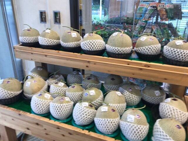 【京都市場】サウナ付日帰り温泉併設☆長雨に備え地産地消の旬野菜「じねんと市場」