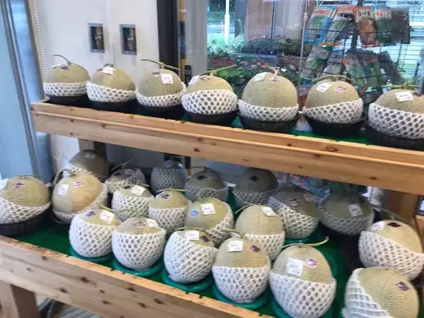 「【京都市場】サウナ付日帰り温泉併設☆長雨に備え地産地消の旬野菜「じねんと市場」」の画像