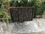 「【京都お寺めぐり】聖徳太子創建！いけばな発祥の地！！京の町の中心『へそ石』必見☆「六角堂（頂法寺）」」の画像8