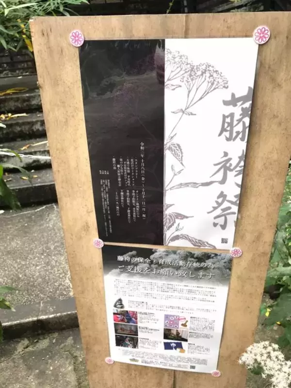 「【京都の花】毎年恒例『藤袴祭』一部開催☆銭湯では今月26日藤袴湯も「革堂行願寺」」の画像