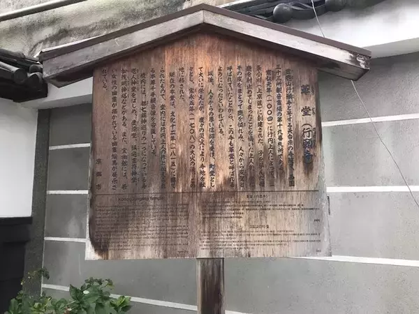 「【京都の花】毎年恒例『藤袴祭』一部開催☆銭湯では今月26日藤袴湯も「革堂行願寺」」の画像