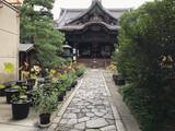 「【京都の花】毎年恒例『藤袴祭』一部開催☆銭湯では今月26日藤袴湯も「革堂行願寺」」の画像3
