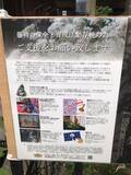 「【京都の花】毎年恒例『藤袴祭』一部開催☆銭湯では今月26日藤袴湯も「革堂行願寺」」の画像24