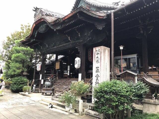 【京都の花】毎年恒例『藤袴祭』一部開催☆銭湯では今月26日藤袴湯も「革堂行願寺」