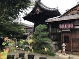 「【京都の花】毎年恒例『藤袴祭』一部開催☆銭湯では今月26日藤袴湯も「革堂行願寺」」の画像21