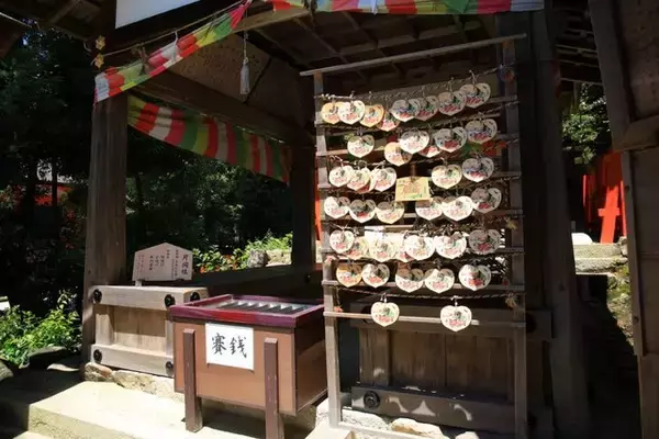 「【癒し】花手水や七夕飾りに癒される「上賀茂神社」【京の七夕】」の画像