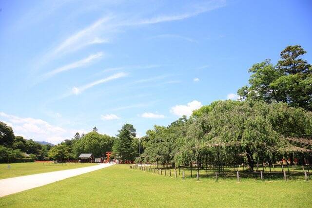 【癒し】花手水や七夕飾りに癒される「上賀茂神社」【京の七夕】