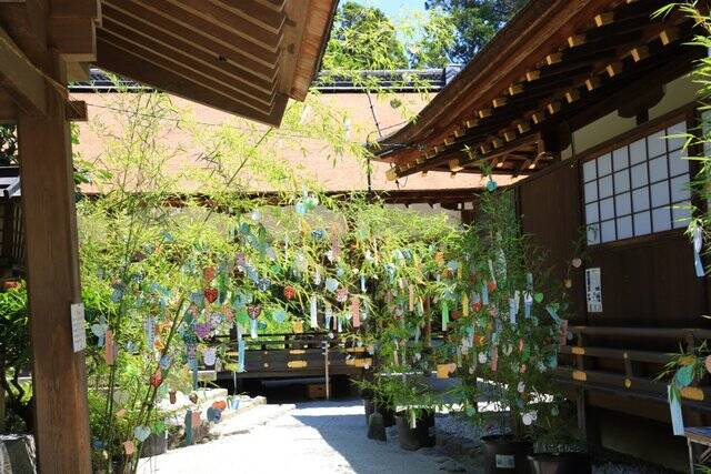【癒し】花手水や七夕飾りに癒される「上賀茂神社」【京の七夕】