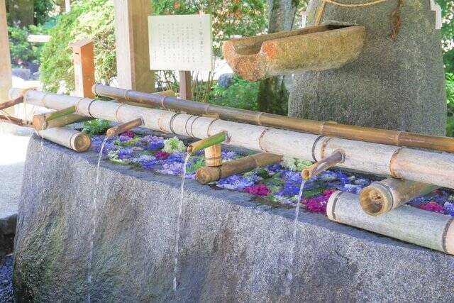 【癒し】花手水や七夕飾りに癒される「上賀茂神社」【京の七夕】