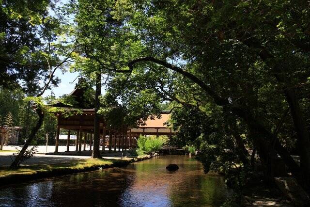 【癒し】花手水や七夕飾りに癒される「上賀茂神社」【京の七夕】