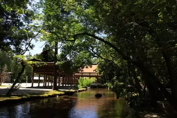 「【癒し】花手水や七夕飾りに癒される「上賀茂神社」【京の七夕】」の画像