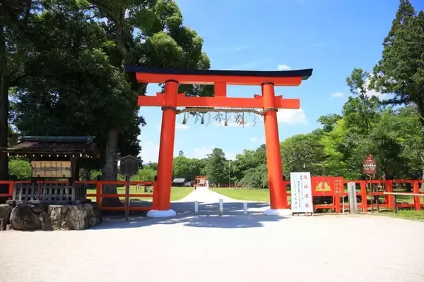 【癒し】花手水や七夕飾りに癒される「上賀茂神社」【京の七夕】