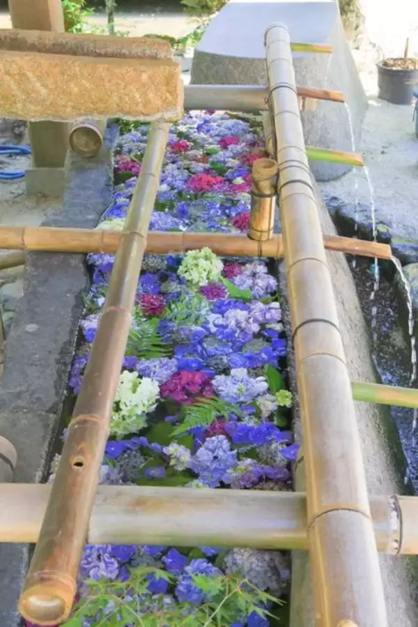 「【癒し】花手水や七夕飾りに癒される「上賀茂神社」【京の七夕】」の画像