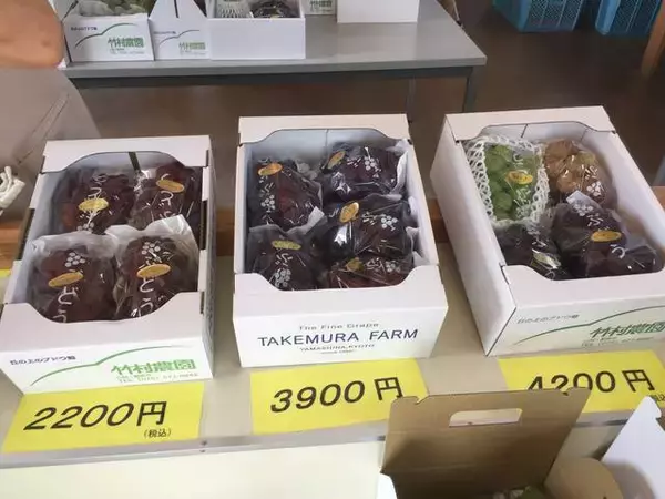 「お盆が旬！京都市内の穴場的ぶどうの名産地！行列ができるほどの美味しさ「竹村農園」【山科勧修寺】」の画像