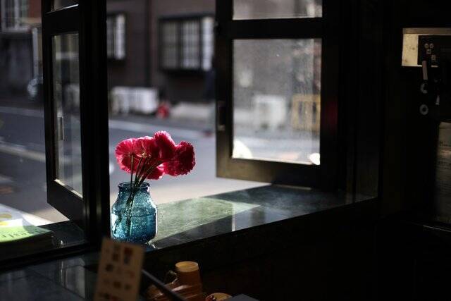 巷で話題の蘭のソフトクリーム カフェのあるフラワーショップ Maestro マエストロ 京都 御所南 21年3月日 エキサイトニュース