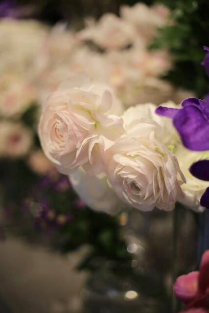 巷で話題の蘭のソフトクリーム カフェのあるフラワーショップ Maestro マエストロ 京都 御所南 21年3月日 エキサイトニュース 2 2