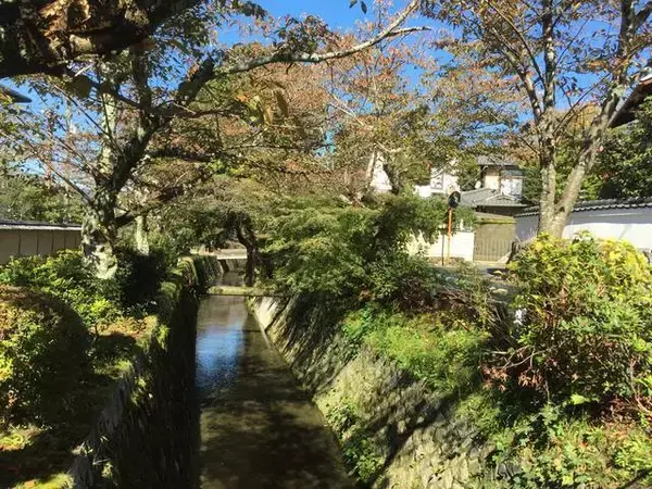 「【京都ぶらり】明治時代につくられた水路『琵琶湖疏水』☆哲学の道経由で北上する疏水分線をたどる【前編】」の画像