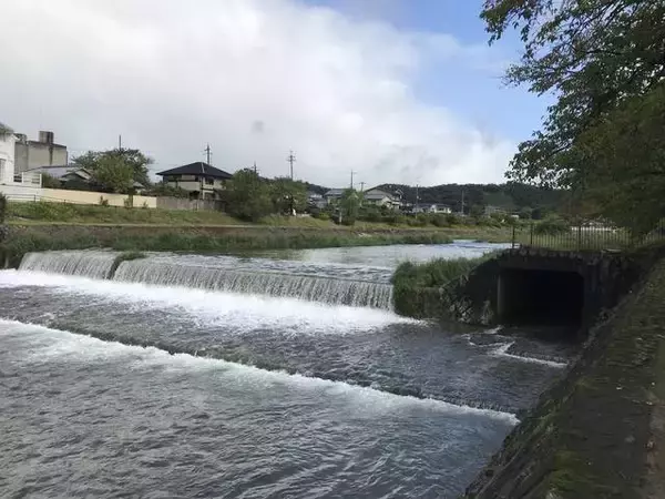 「【京都ぶらり】明治時代につくられた水路『琵琶湖疏水』☆哲学の道経由で北上する疏水分線をたどる【前編】」の画像