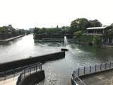 「【京都ぶらり】明治時代につくられた水路『琵琶湖疏水』☆哲学の道経由で北上する疏水分線をたどる【前編】」の画像1